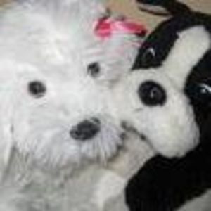 Meet your Posher, Mai